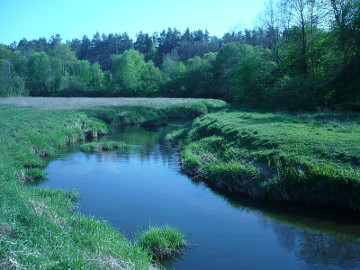 Река Ашва у деревни Поцяй