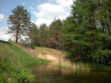 Река Балтойи Анчя у деревни Пинчярагис