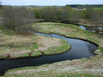 Река Даугивене ниже д. Пакалнишкяй