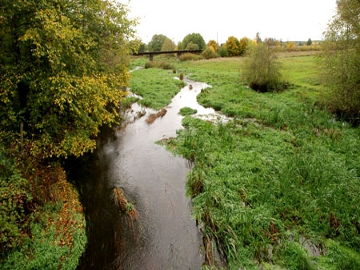Upė Daugyvenė prie Pakalniškių