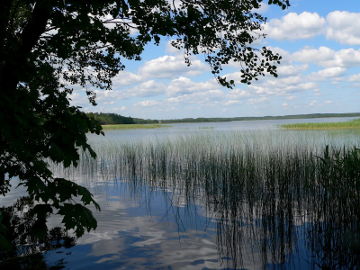 Озеро Друкшяй