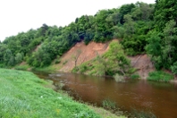 Река Дубиса у д. Йокавай. Foto:Egidijus at Panoramio
