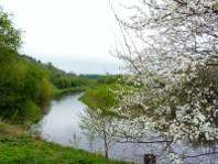 Река Дубиса у д. Кунигишкяй. Foto:Danutė Paliokienė