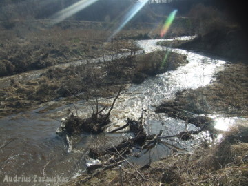 Река Дукшта у 2,3 км