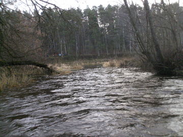 Река Дукшта впадает в Нярис