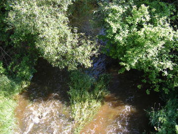 Река Эжяруона