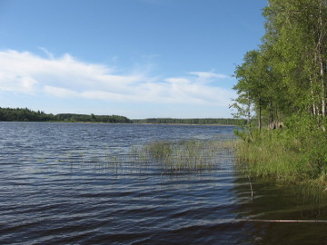 Gauštvinio ežeras