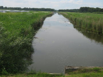 Река Снюте у Васакнайских прудов