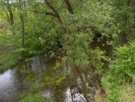 Река Яра у деревни Баёрай