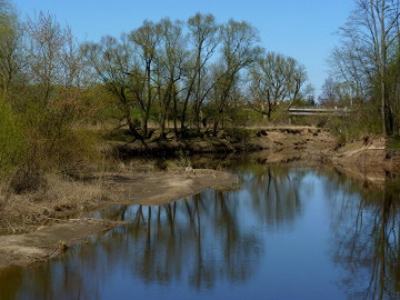 Река Йеся около устья. Foto:Danutė Paliokienė