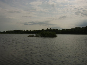 Плавающий остров на озере Свиркай