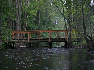 Tiltas per Kiaunos upę