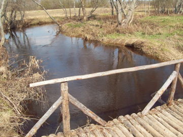 Tiltelis per Kriaunos upę