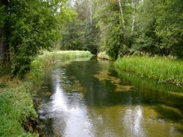 Lakajos upelis netoli ištakų