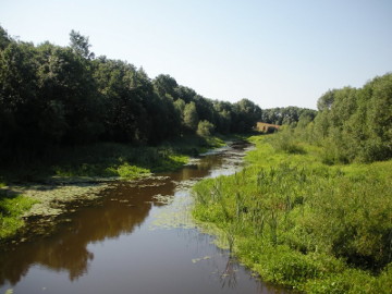 Река Ланкяса недалеко от устья
