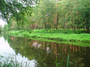 Река Левуо у деревни Брейвишкяй