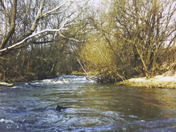 Река Локиста