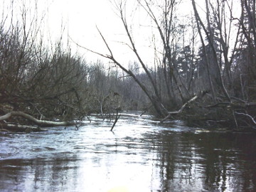 Река Локиста между г. Шилале и д. Рубинавас