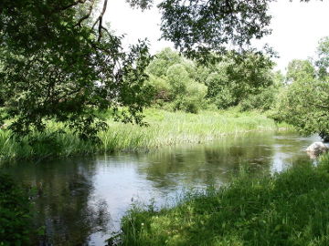 Река Мемеле у деревни Лелмемеле