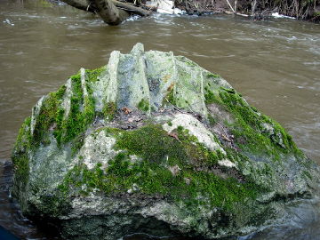 Валун в реке Плаштака