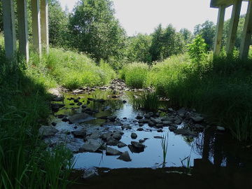 Река Саусдравас летом у деревни Жлибинай