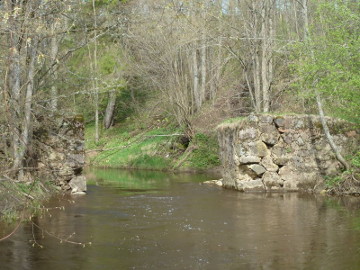 Река Шяркшне недалеко от устья