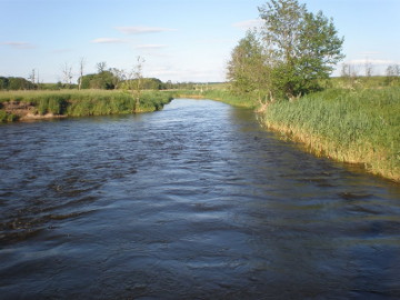 Река Шяшупе ниже деревни Лакинскай