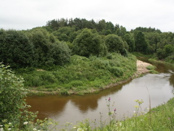 Река Шяшувис у деревни Гауре