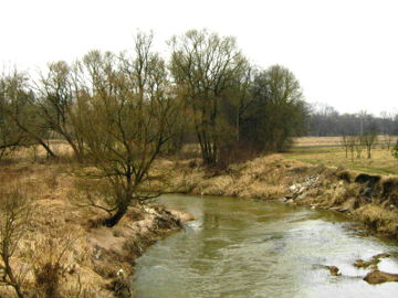 Река Шяшувис у деревни Ожнугаряй