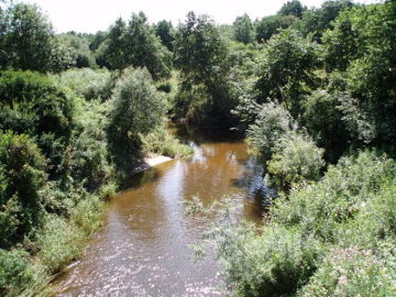 Река Шяшувис у деревни Смайдряй
