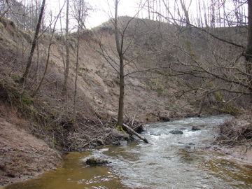 Река Ширвинта у деревни Дуонялайчяй
