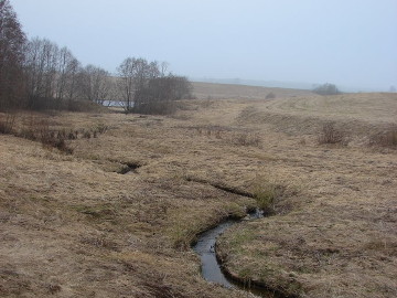 Река Шяуше у деревни Даугиняй