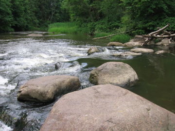 Upė Siesartis netoli žiočių
