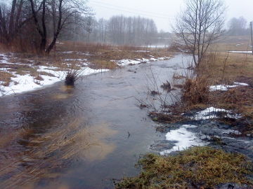 Река Стрева около города Жежмаряй