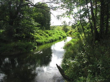 Река Шиша у деревни Шилмяйжяй