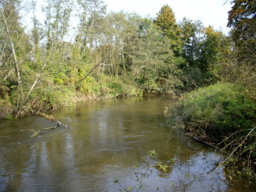 Река Вардува недалеко от устья