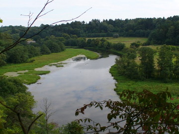 Река Вяркне недалеко от устья