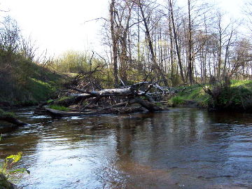Река Вярсяка ниже Эйшишкесского водохранилища