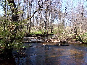 Река Вярсяка