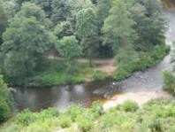 Река Вильня с обрыва Пучкоряй